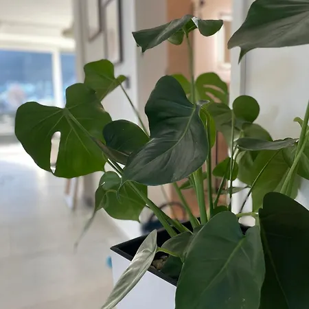 Apartamento Burg View Im Herzen Von Am Ossiachersee *