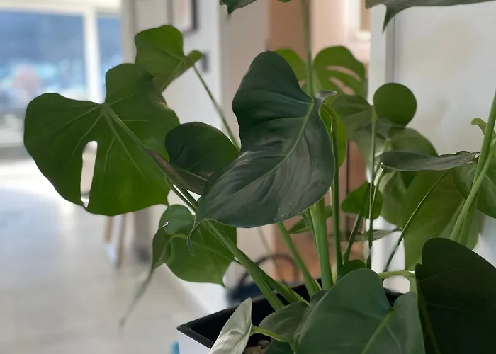 Appartement Burg View Im Herzen Von Am Ossiachersee *